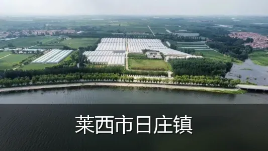 莱西市日庄镇