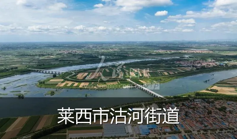 莱西市沽河街道